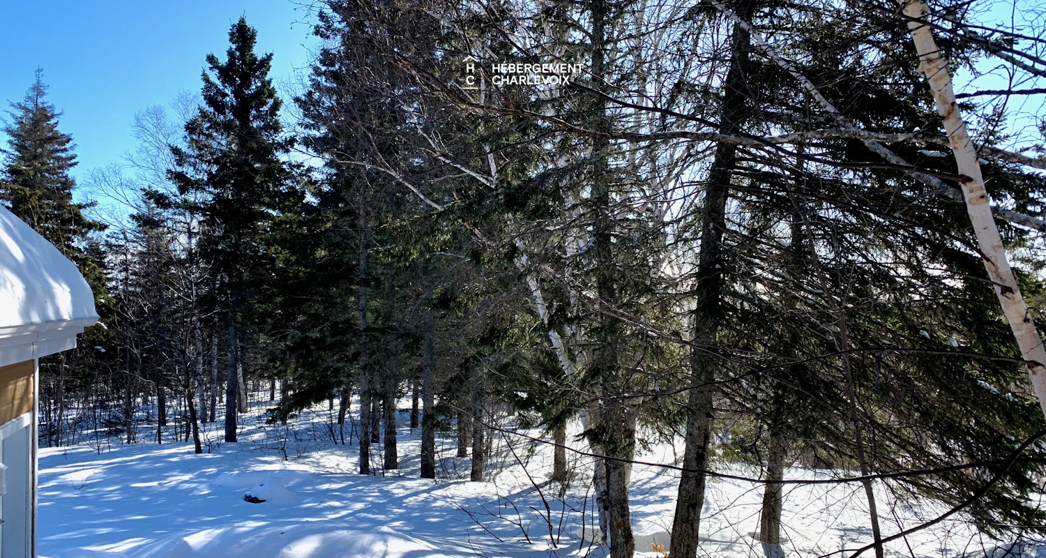 BOI-2 - Large chalet with billiards, spa and nature